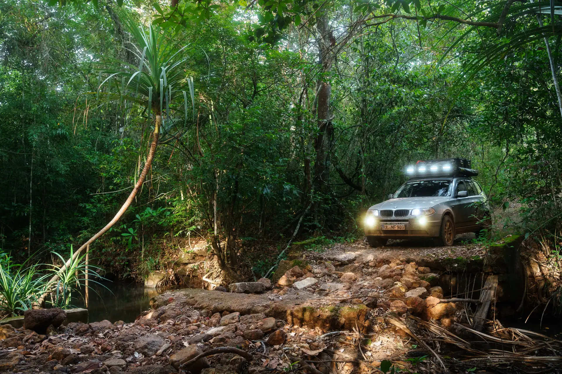 Banner, Auto faehrt durch dichten Dschungel, Lichter sind eingeschaltet
