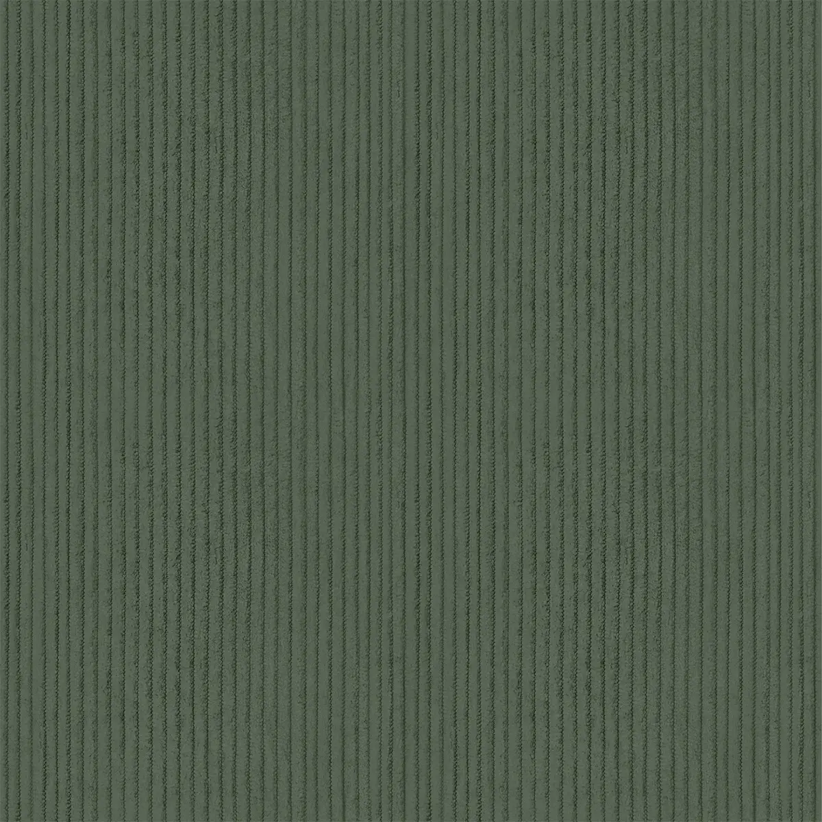 Kaktus Kord Kaktus Kord