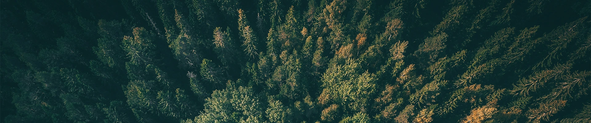 Wir sind für Dich da!